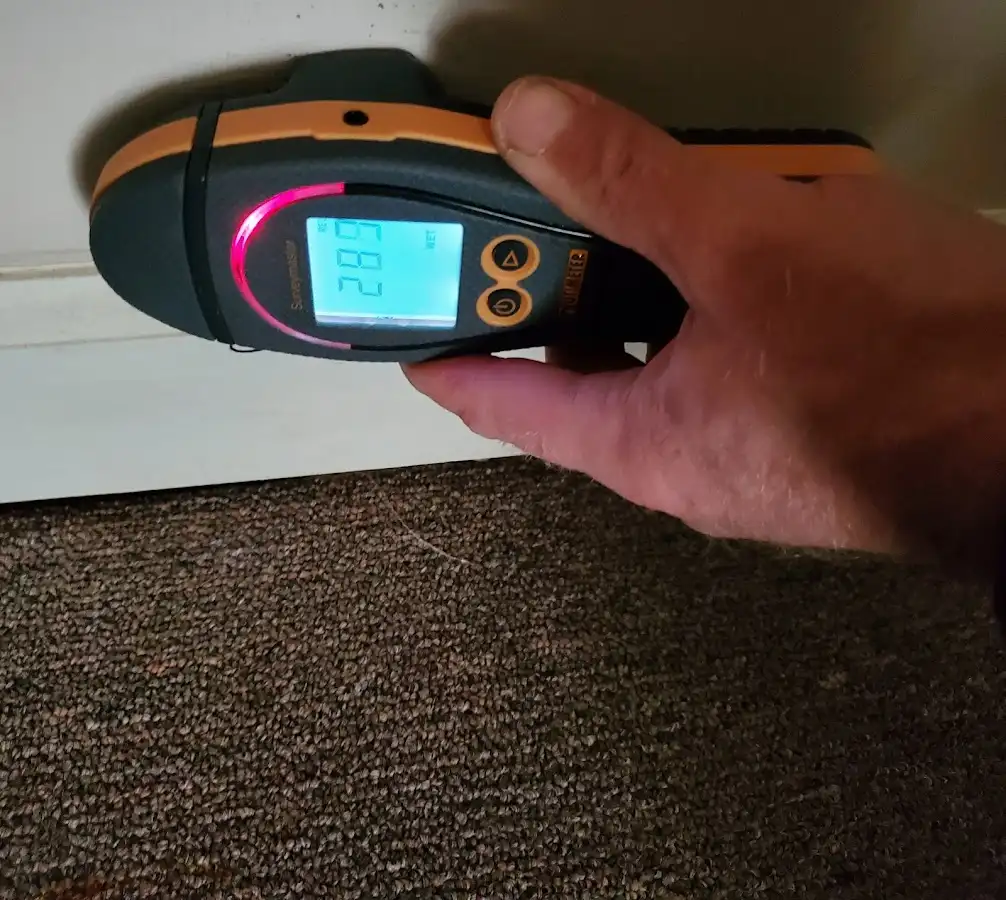 Moisture detection at baseboard during Sewage Cleanup & Sanitation in New Baltimore